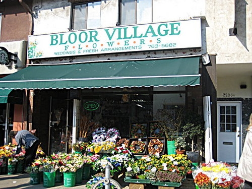 Bloor Village Flowers